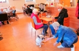 CANISTERAPIE A FELINOTERAPIE 1