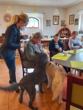 CANISTERAPIE A FELINOTERAPIE 4