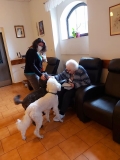 CANISTERAPIE A FELINOTERAPIE 5
