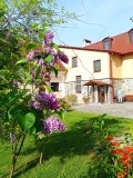 PROSTŘEDÍ DOMOVA A ZAHRADA 15